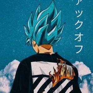 Meet your Posher, Demetrius